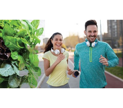 Enhancing the Life Saving Benefits of Vitamin K